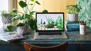 bureau avec des plantes